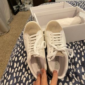 Brand new Steven Madden sneakers